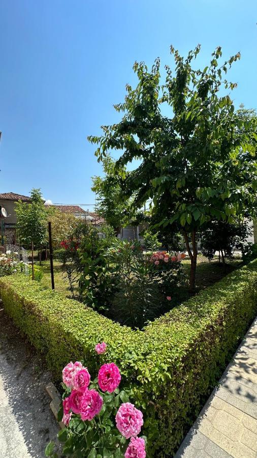 Js House Shkoder 2 아파트 외부 사진